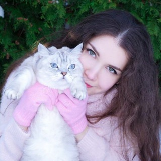 ASMR KITTYKLAW 