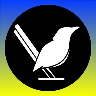 Telegram Tips