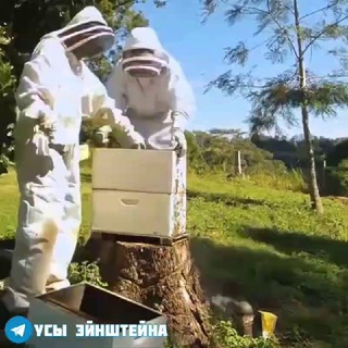 Telegram Tips