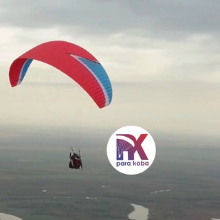 Telegram Tips
