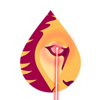 КРИПТО НАРНИЯ NEWS