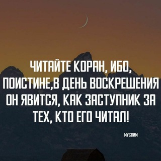Telegram Tips