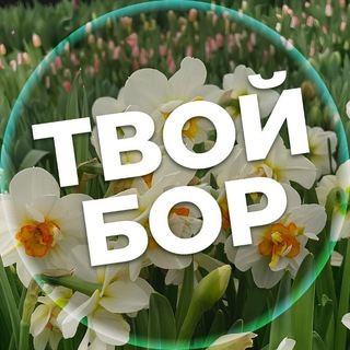Telegram Tips