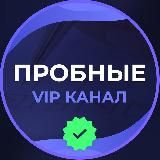 Telegram Tips