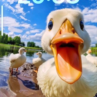 CEO MEDIA