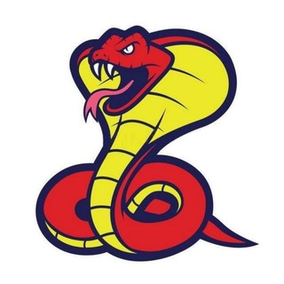 PYTHON РАБОТА