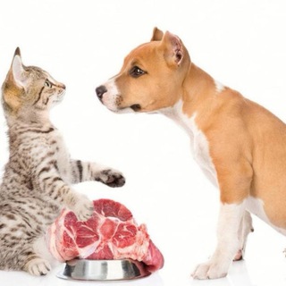 MEAT.PETS - МЯСО ПИТОМЦАМ. НАТУРАЛЬНАЯ ПРОДУКЦИЯ ДЛЯ ВАШИХ ПИТОМЦЕВ 