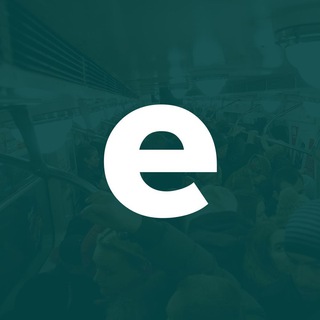 Telegram Tips
