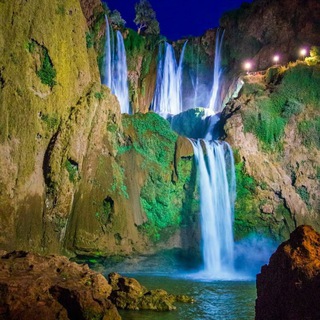 Telegram Tips