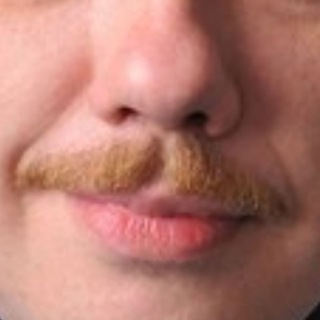 Telegram Tips