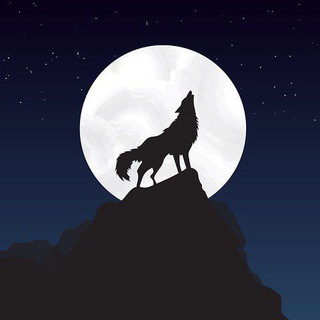 Telegram Tips