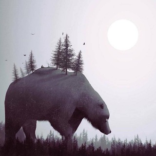 Telegram Tips