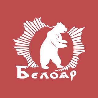 Telegram Tips