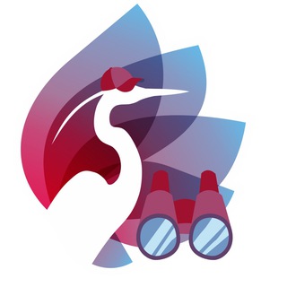 Telegram Tips