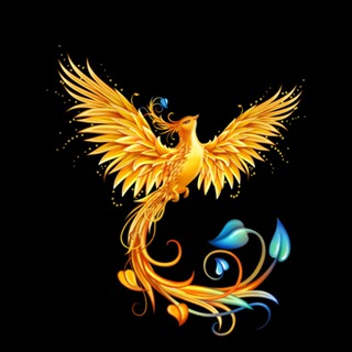 Telegram Tips