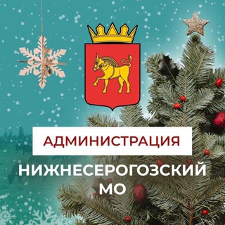 АДМИНИСТРАЦИЯ НИЖНЕСЕРОГОЗСКОГО РАЙОНА
