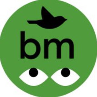Telegram Tips