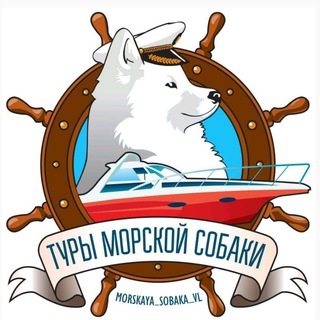 Telegram Tips