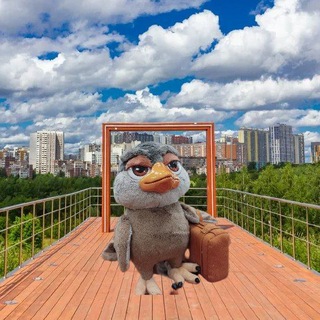 Telegram Tips