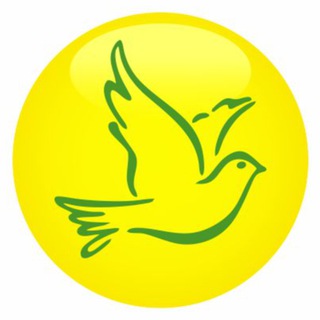 Telegram Tips