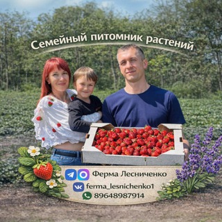 Telegram Tips