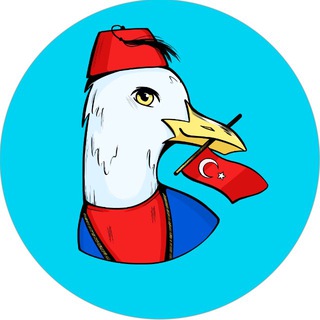 Telegram Tips
