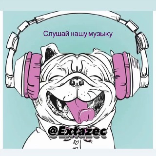 Telegram Tips