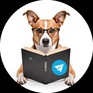 Telegram Tips