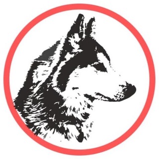 ПОМОЩЬ ЕЗДОВЫМ СОБАКАМ HELP_HUSKY_NSK