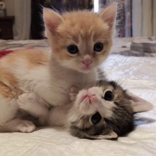 ВСЕ ДЛЯ ЛЮБВИ<3