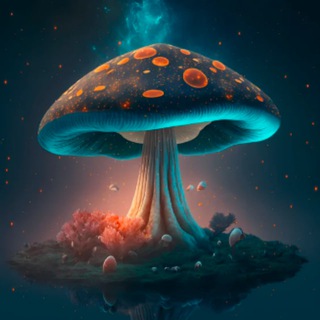 Telegram Tips
