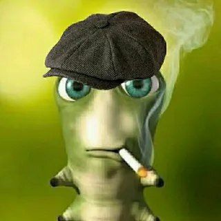 Telegram Tips
