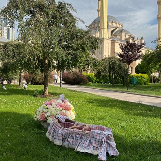 KRASOTA PO SUNNE