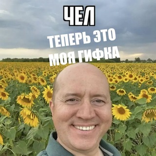 Telegram Tips