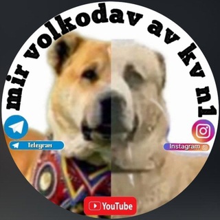 Telegram Tips