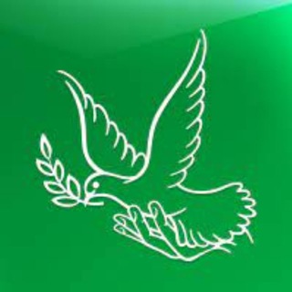 Telegram Tips