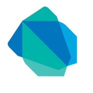 DART / FLUTTER