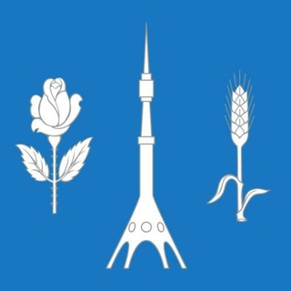 Telegram Tips
