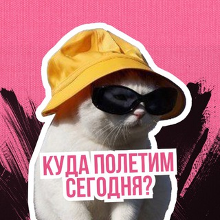 Telegram Tips