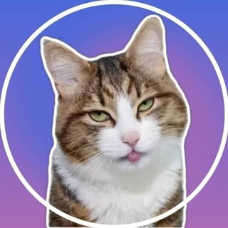 Telegram Tips