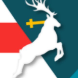 Telegram Tips