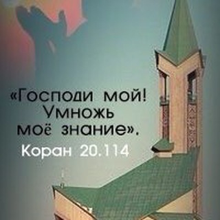 Telegram Tips