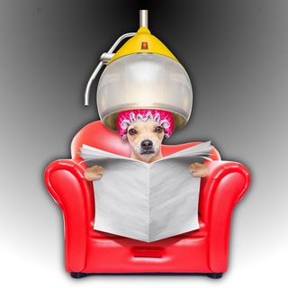 Telegram Tips