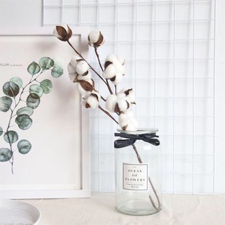 ALEXIS_HOME
