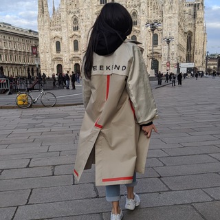 REDJINA_STYLE