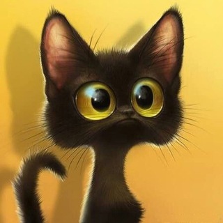 МИЛЫЕ КОТЕЙКИ