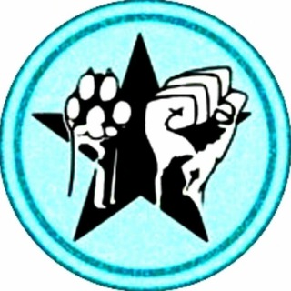 Telegram Tips