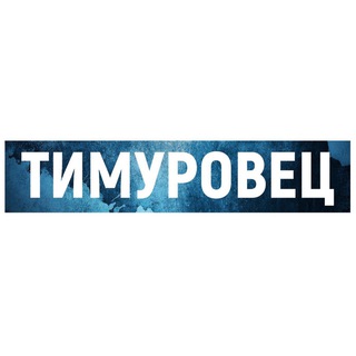 ТИМУРОВЕЦ | НСО