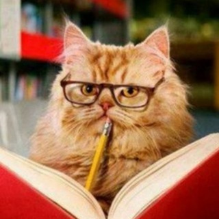 Telegram Tips