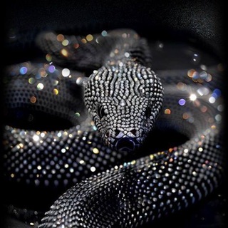 Telegram Tips
